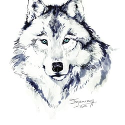 wolf