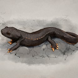 Tylototriton vietnamensis