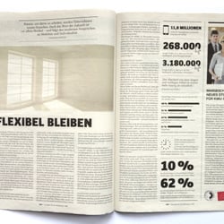 Supplement Financial Times Deutschland