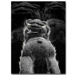 chinese Lion