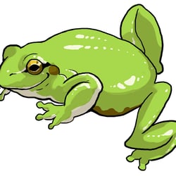 Laubfrosch