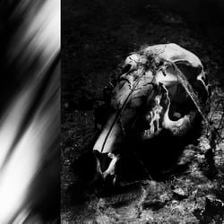 scull