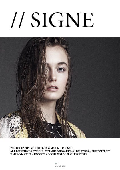 Layout Signe frl schwaiger