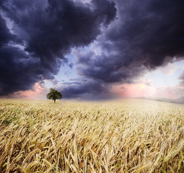 Standing the Storm