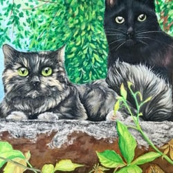 Fuzzy siblings