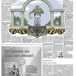 FAS | Editorial Illustration | 27. Februar 2011 | Layout