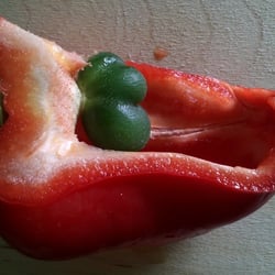 Food Fotografie 2012 Paprika in Farbe No 03
