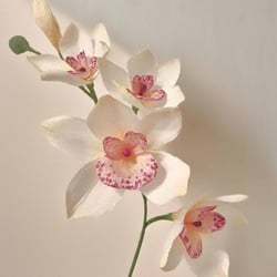 Orchidee aus krepppapier papierorchidee