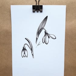 Florale Nostalgie Schneeglöckchen 001