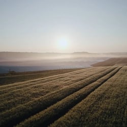 MaxSolar – Unternehmensdokumentation 2024 · Imagefilm von Spreadfilms
