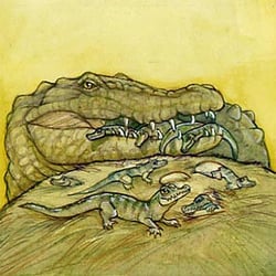 krokodil