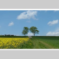 Fotografie-Natur