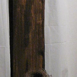 dieKatzefrisstdenVogelauf 2006 20×24×100