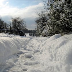 Winter in Serach 1882k