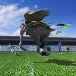 Ballofant Südafrika