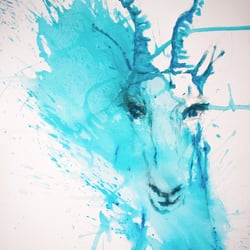 Gazelle