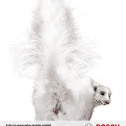 Bosch Haushaltsgeräte