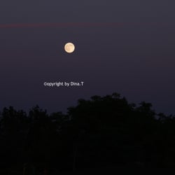 Moon – Jun. 2014 © by Dina.T