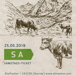 Ticket Festival