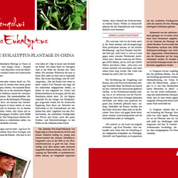 eukalyptus