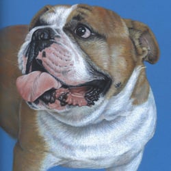 Pastell, Zeichnung by Nicole Zeug, nicolezeug.de