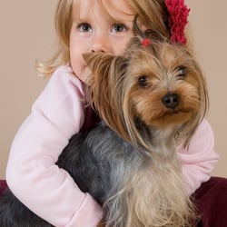 Lieblings Hund