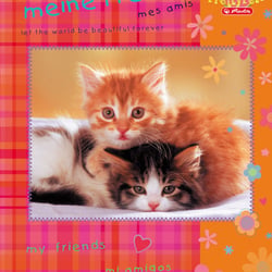 freundebuch-cats-2f