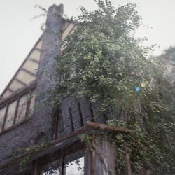 Forgotten Place