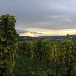 am frühen Morgen 22 0756k