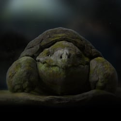 Tortoise / 3D Modeling & Texturing