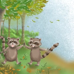 7.Waschbär-Freunde