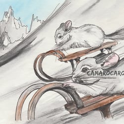 Chinchilla Schlittenfahrt