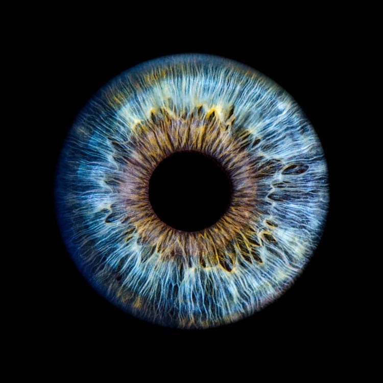 Raphael Erfurth