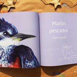 Cover and content of the self-published book“Pinta con Karina: pajaritos chilenos”, 2019.