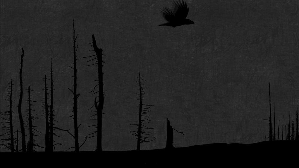 Still from the Video