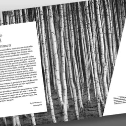 Layout 01