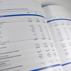 Emissionsprospekt, Detail Liquiditätsvorschau