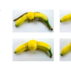 ‚die verbotene Frucht, oder mit Zitronen handeln‘, plastische Arbeit
