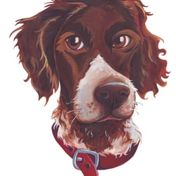 Münsterländer