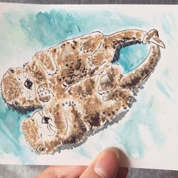 Otter