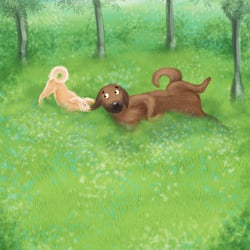 dogs playing on grass