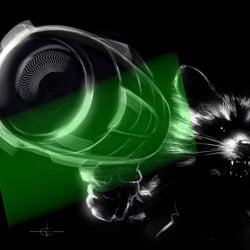 Rocket Racoon