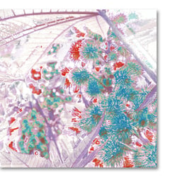 digitale Collage > rhizinus violet