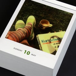 Poladarium 2015
