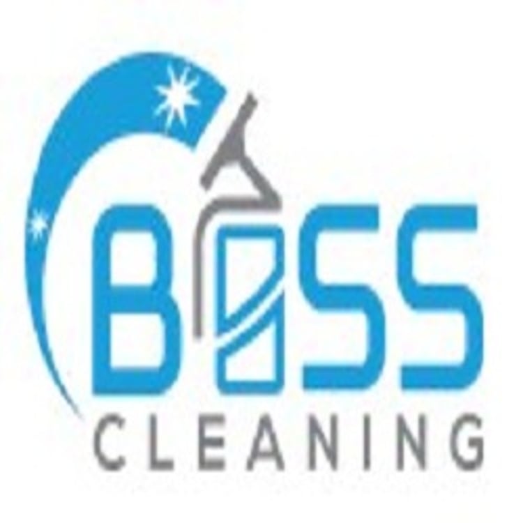 Boss Cleaning Services