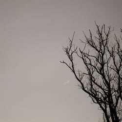Skyline by nature