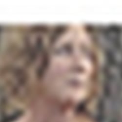 LICHTER 2016 Website