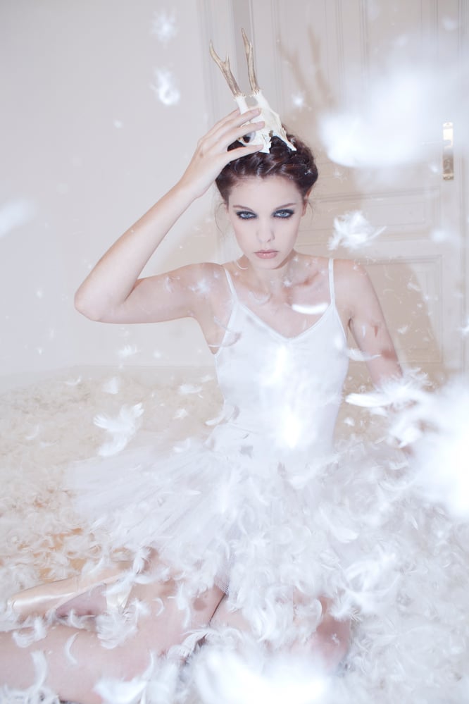 Feathers