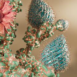 Cofloral III. – Detail