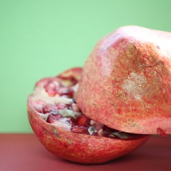 Granatapfel November 2012
